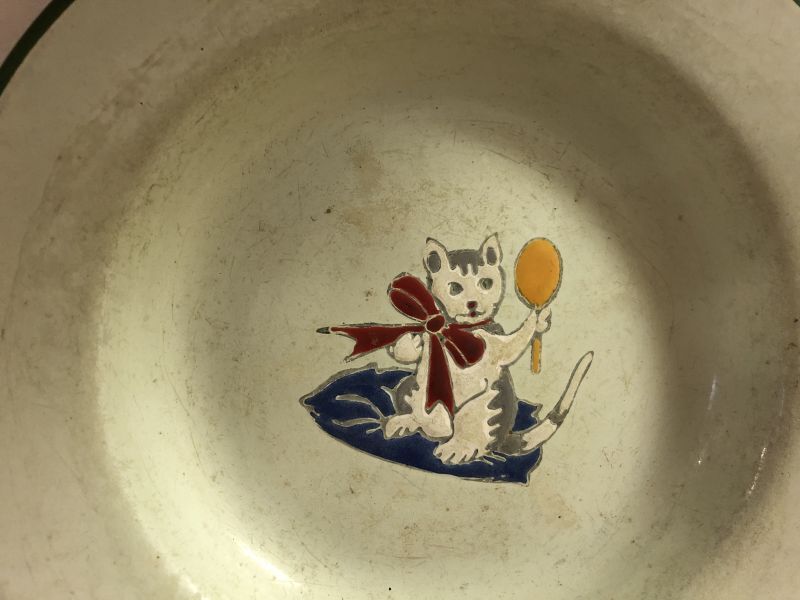 猫、ホーロー皿